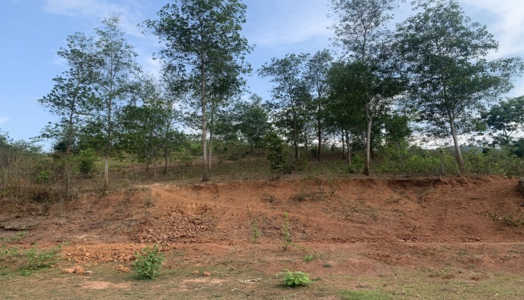 Cần bán đất rừng sản xuất tại Xăm Khòe, Mai Châu, diện tích 100ha.